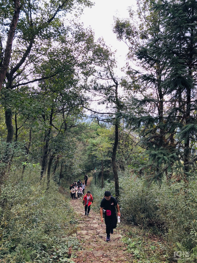「周末去哪兒玩」徒步千畝高山茶場走浙東“小武功山”
