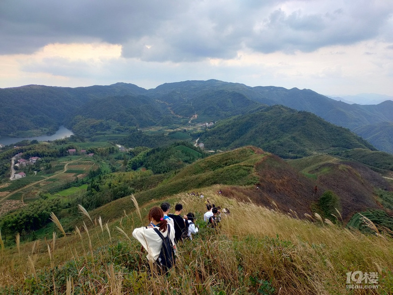 「周末去哪兒玩」徒步千畝高山茶場走浙東“小武功山”
