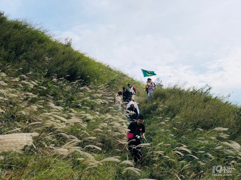 「周末去哪兒玩」徒步千畝高山茶場走浙東“小武功山”