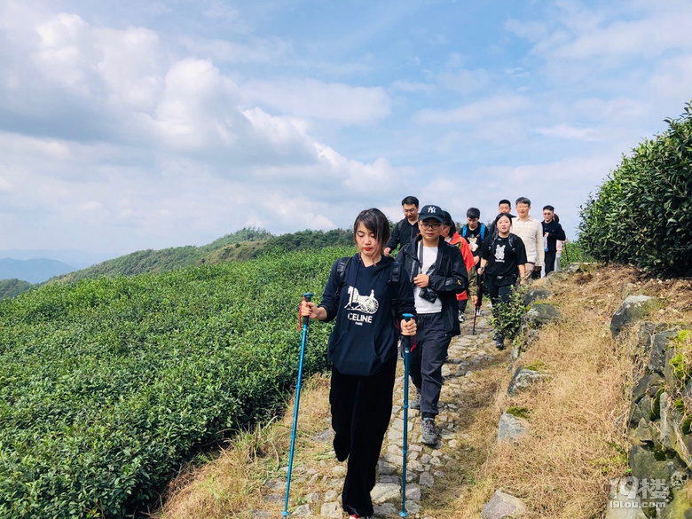 「周末去哪兒玩」徒步千畝高山茶場走浙東“小武功山”