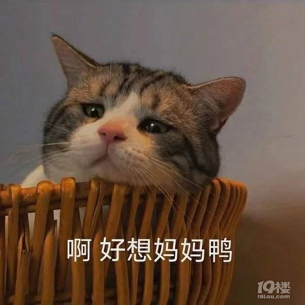 鿴ԭD