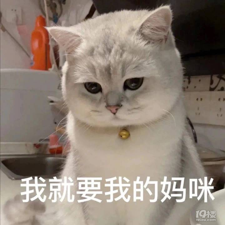 鿴ԭD