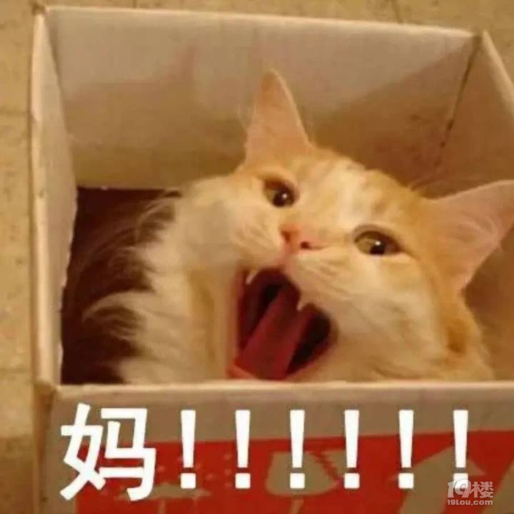 鿴ԭD