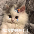 鿴ß