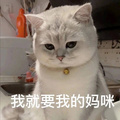 鿴ß