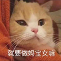 鿴ß