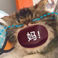 鿴ß