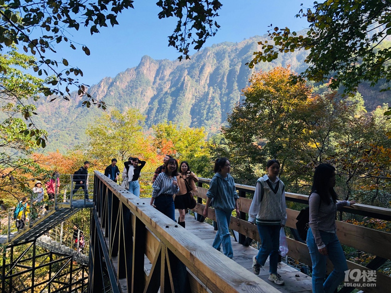「周末去哪兒玩」10.30｜挑戰(zhàn)大明山個(gè)個(gè)都是勇士