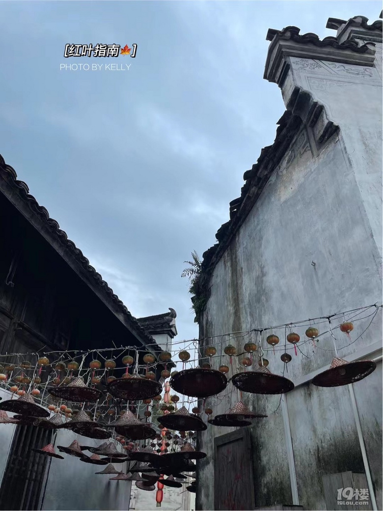 「周末去哪兒玩」11.7｜一起去看指南秋天的景色