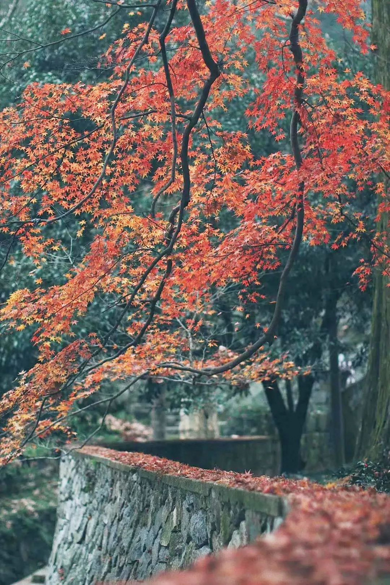 @Сǵ޶ഺh(hun)ӛǼw