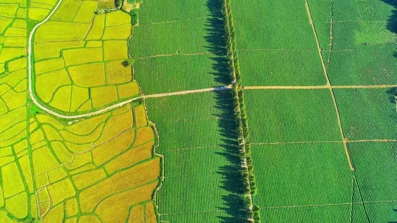 @Сǵ޶ഺh(hun)ӛǼw