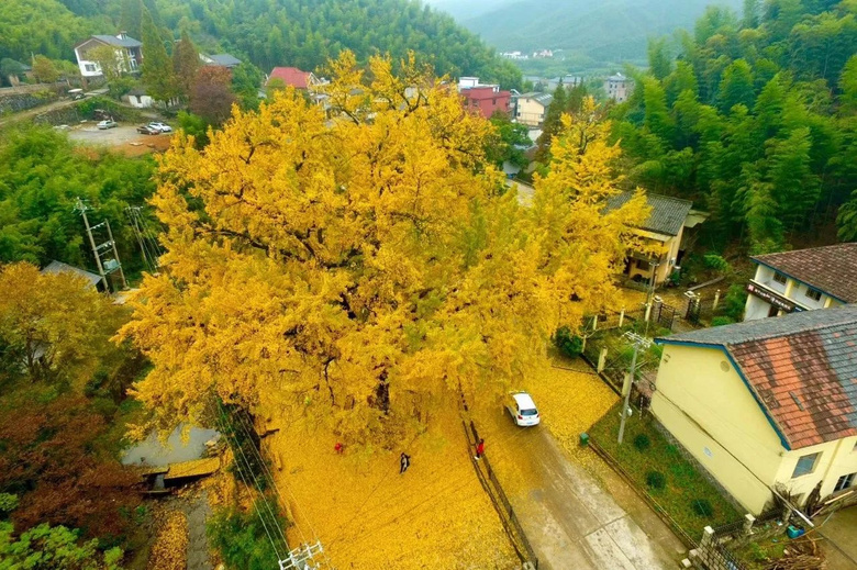 @Сǵ޶ഺh(hun)ӛǼw