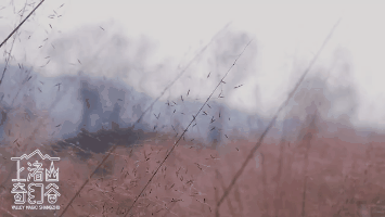 @Сǵ޶ഺh(hun)ӛǼw