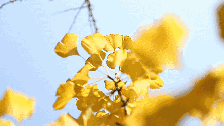 @Сǵ޶ഺh(hun)ӛǼw