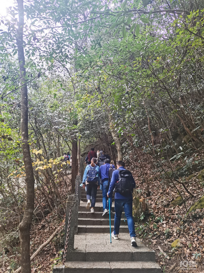 「周末去哪兒玩」11.13｜徒步于大明山古棧道之上觀青山嫵媚