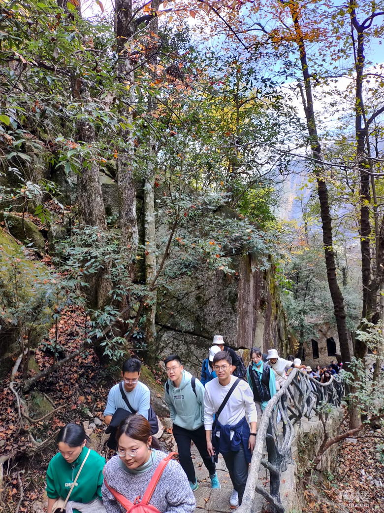 「周末去哪兒玩」11.13｜徒步于大明山古棧道之上觀青山嫵媚