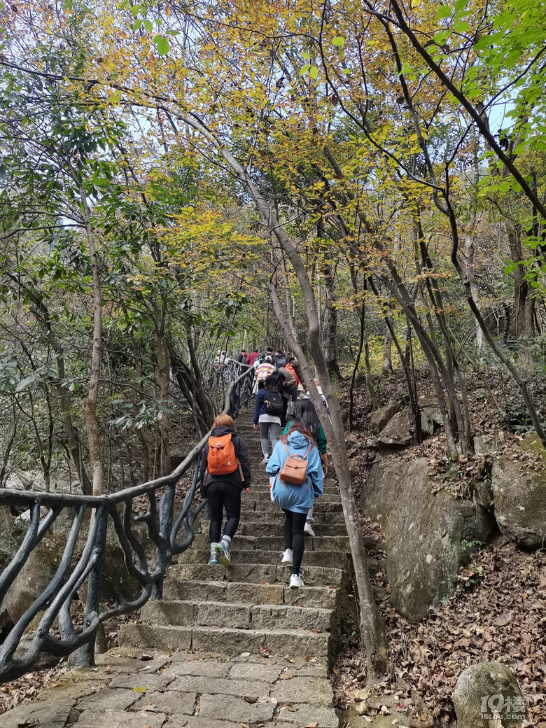 「周末去哪兒玩」11.13｜徒步于大明山古棧道之上觀青山嫵媚