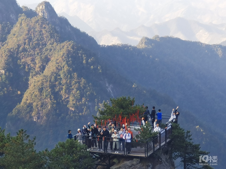 「周末去哪兒玩」11.13｜徒步于大明山古棧道之上觀青山嫵媚