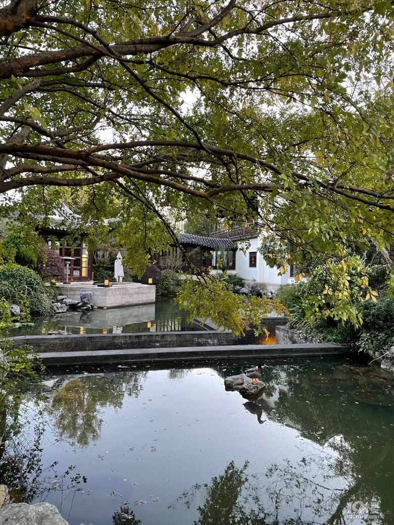 杭州中餐廳的天花板？我信了！