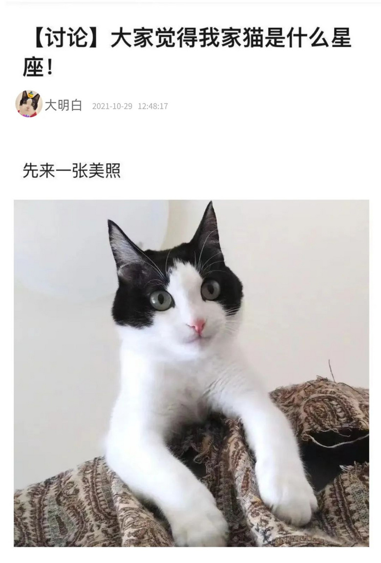 ǧfeB(yng)@3(g)؈t
