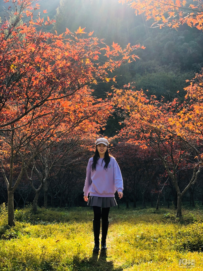 「周末去哪兒玩」11.14｜五泄銀杏林小環(huán)線徒步