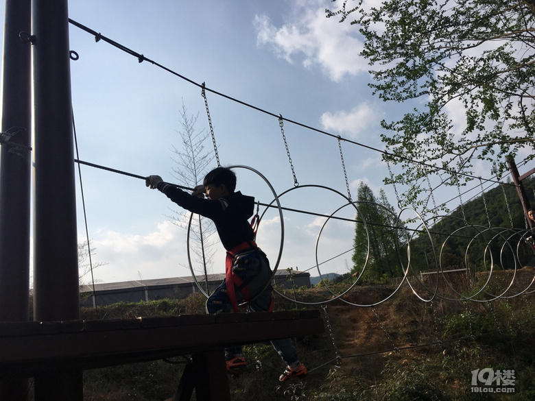 ΑP(gun)ͣӂ͕úÌW(xu)(x)ݵļLô