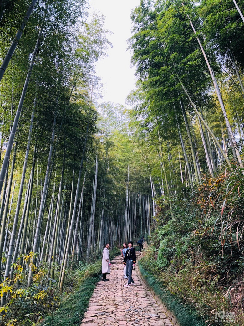 「周末去哪兒玩」11.20｜徑山古道徒步鄉(xiāng)村藝術(shù)圖書(shū)館坐坐