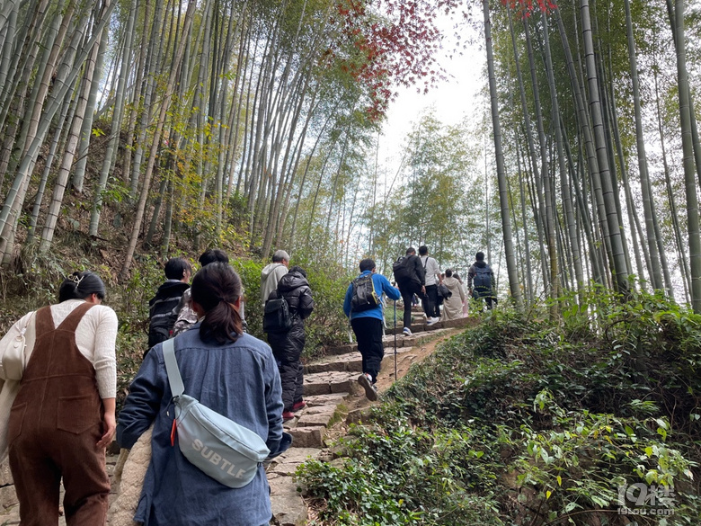 「周末去哪兒玩」11.20｜徑山古道徒步鄉(xiāng)村藝術(shù)圖書(shū)館坐坐