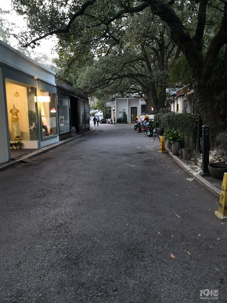 秋天的八卦田