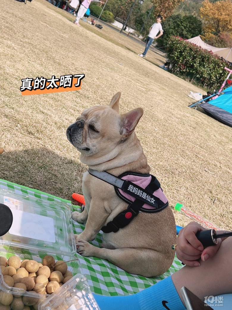 鿴ԭD