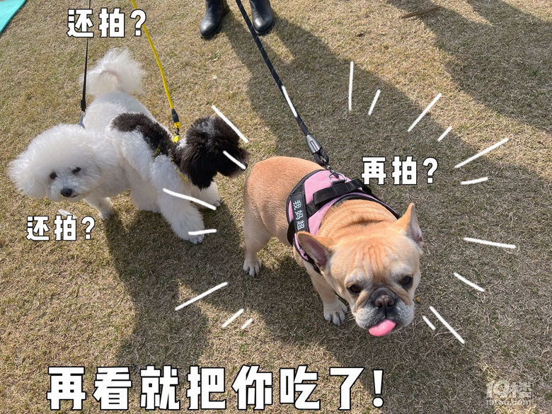 鿴ԭD