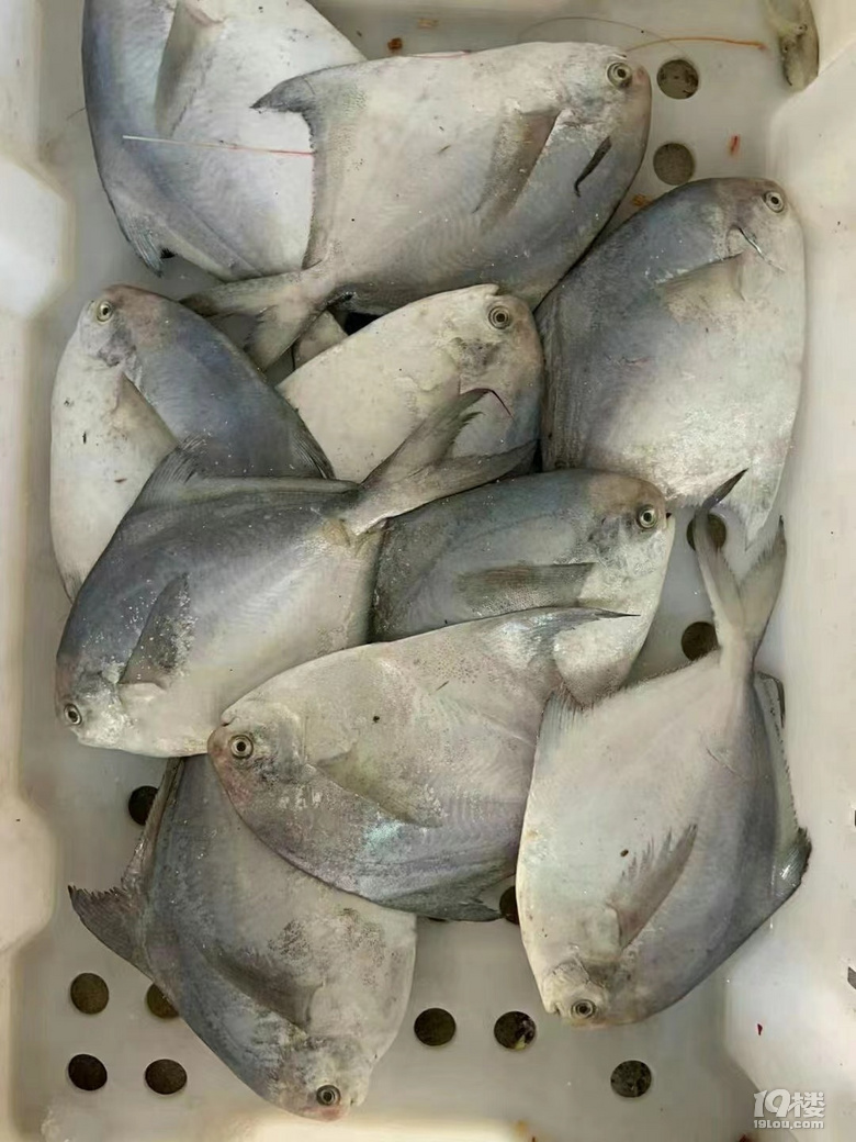 Сr