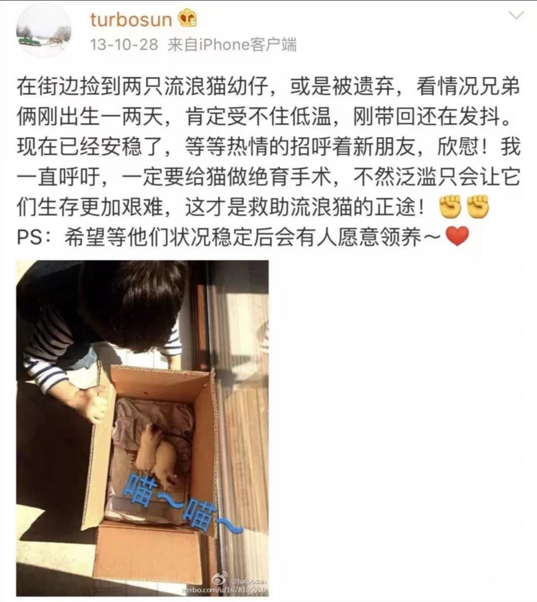 《當(dāng)家主母》小白貓生死成迷，“孫儷救驢”卻沖上熱搜，實(shí)在太諷
