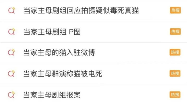 《當(dāng)家主母》小白貓生死成迷，“孫儷救驢”卻沖上熱搜，實(shí)在太諷