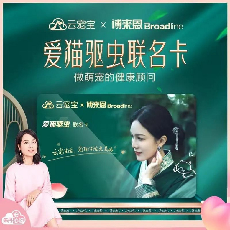 “這輩子做的最不后悔的事，就是養(yǎng)了一只貓！”