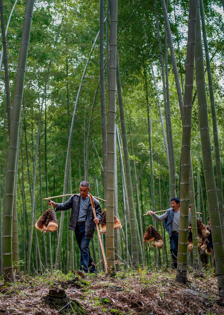 浙江的“盲點”小縣城，被譽為包郵區(qū)里的“香格里拉”