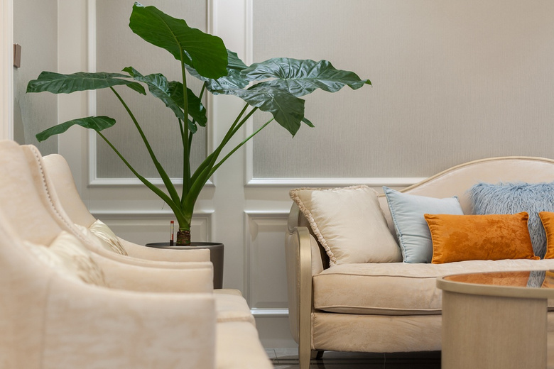 180�O������ɫ���Σ�ʵ�����������