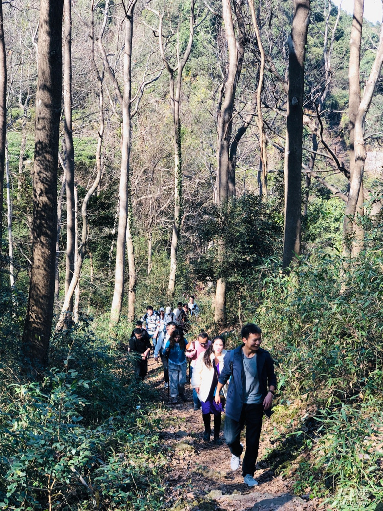 「周末去哪兒玩」12.19｜午潮山徒步穿行于深秋與茶山