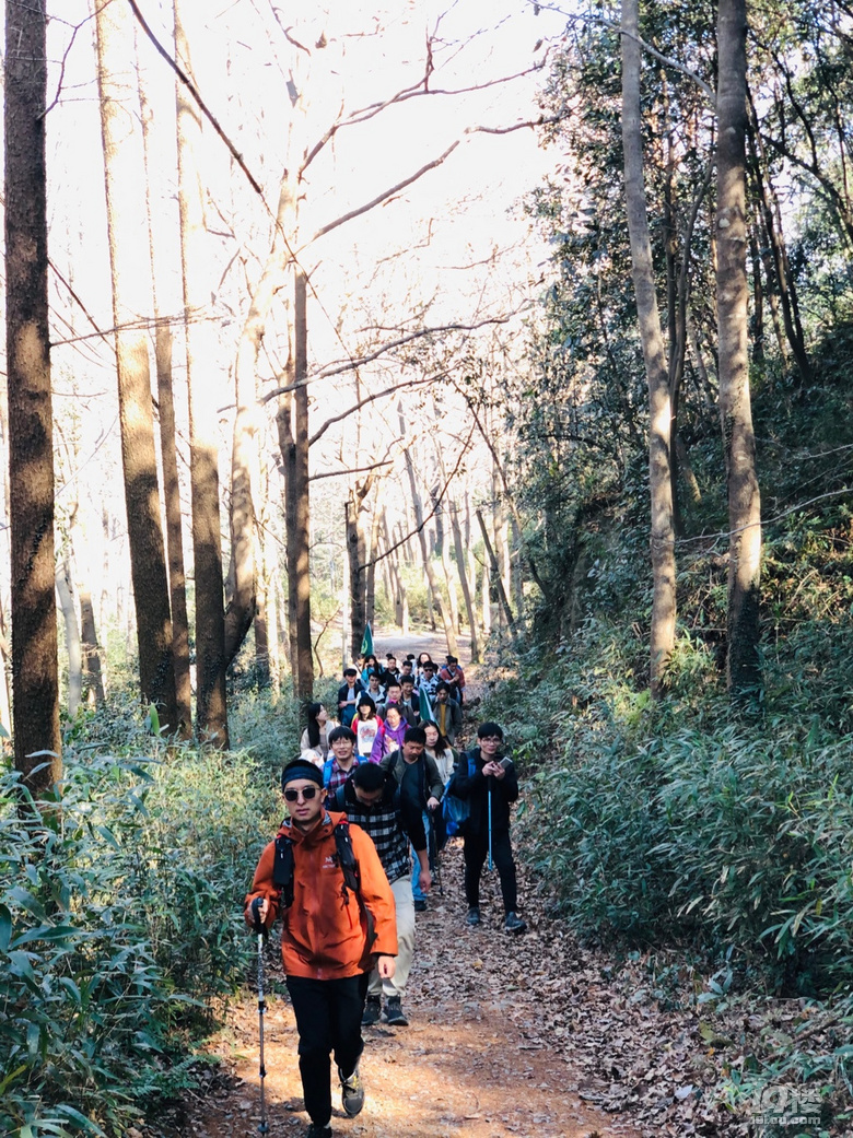 「周末去哪兒玩」12.19｜午潮山徒步穿行于深秋與茶山