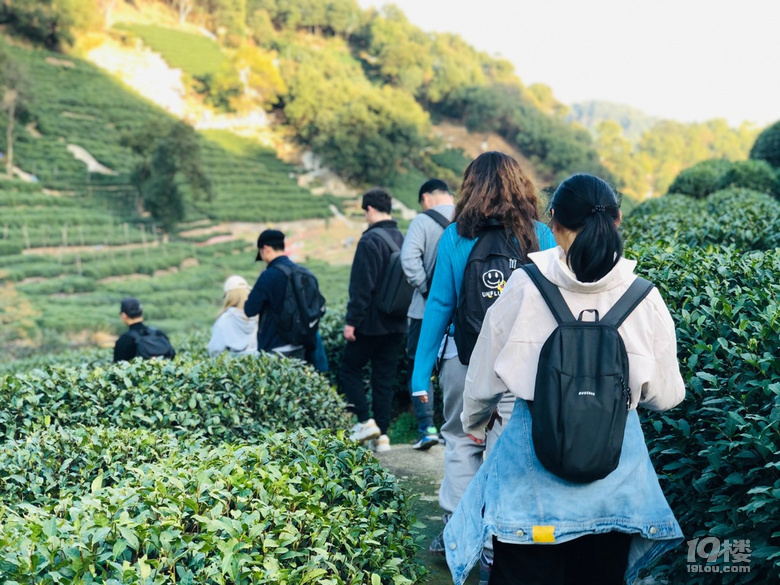 「周末去哪兒玩」12.19｜午潮山徒步穿行于深秋與茶山