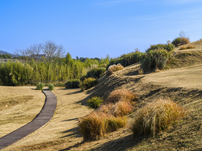 杭州良渚古城瑶山遗址公园自然风景非常秀美