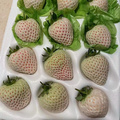 鿴ß