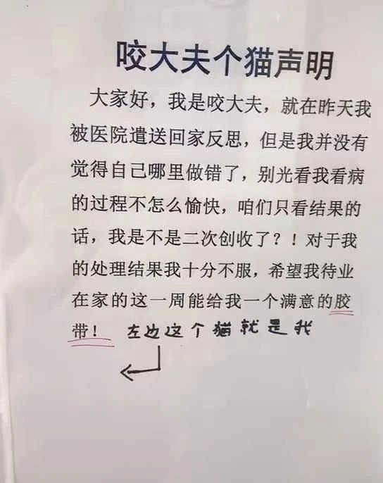 某寵物醫(yī)院員工因毆打病患被迫停職，知道真相后…笑yue了��！