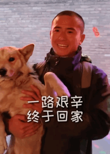 騎行時遇到后腿癱瘓的流浪狗，跨越8千里帶它回家，如今…卻怕它