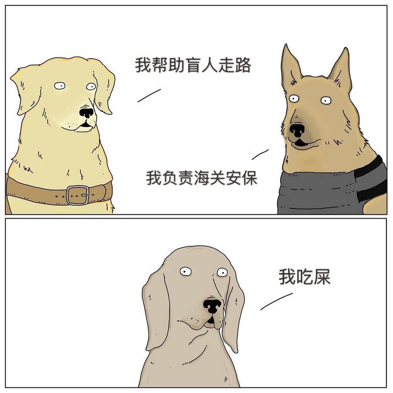 如果狗狗會說話…那你可能會被它們笑死！