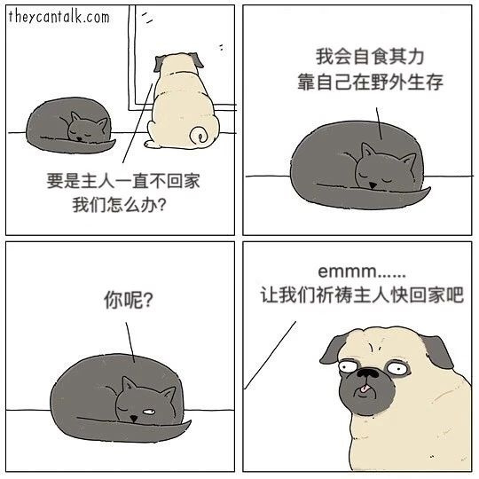 如果狗狗會說話…那你可能會被它們笑死！