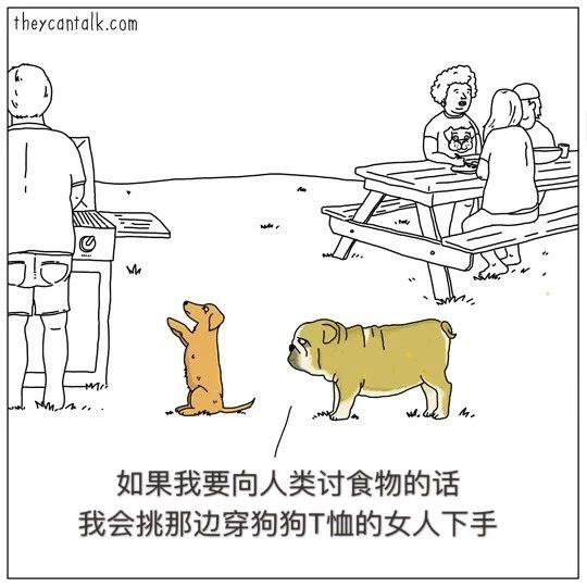 如果狗狗會說話…那你可能會被它們笑死！