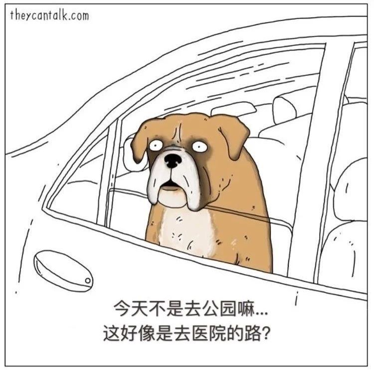 如果狗狗會說話…那你可能會被它們笑死！