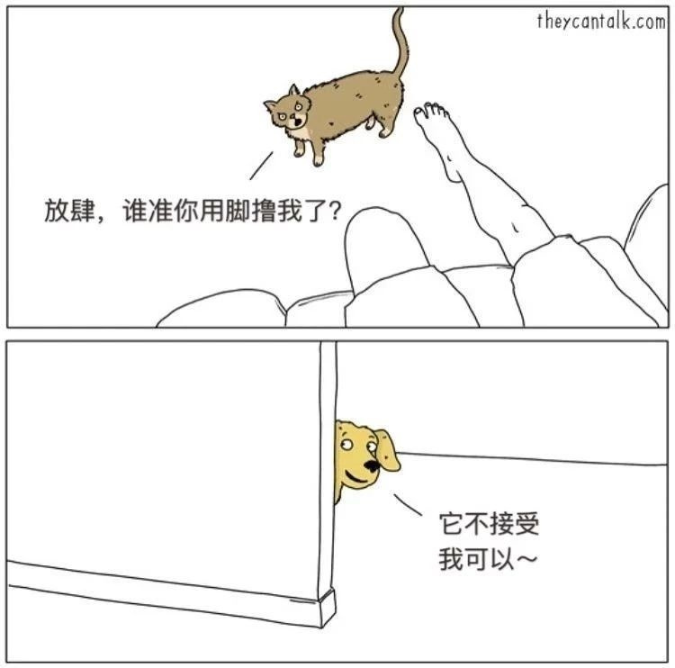 如果狗狗會說話…那你可能會被它們笑死！