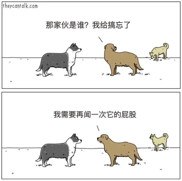 如果狗狗會說話…那你可能會被它們笑死！